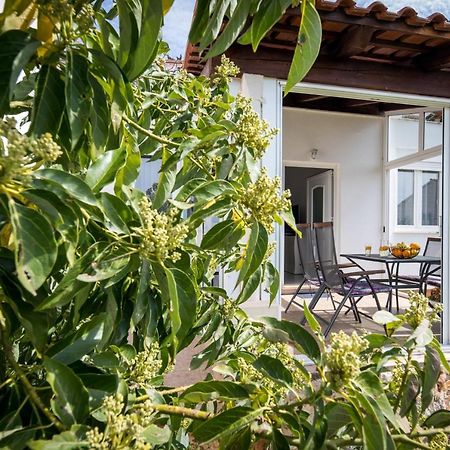 Avocado Apartment Dubrovník Exteriér fotografie