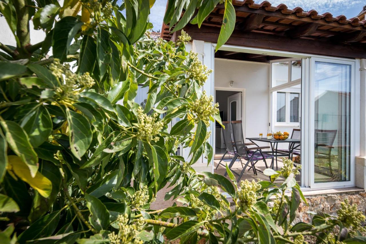 Avocado Apartment Dubrovník Exteriér fotografie